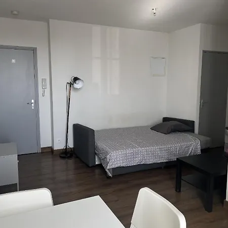 Apartment Studio Hyper Centre Proche Mc Do Roanne